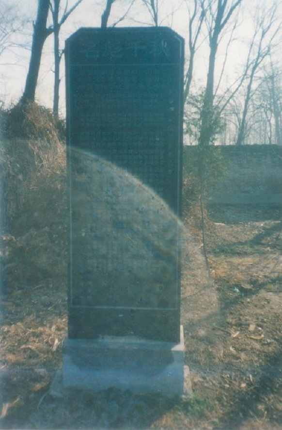 234707115.jpg pp2.jpg