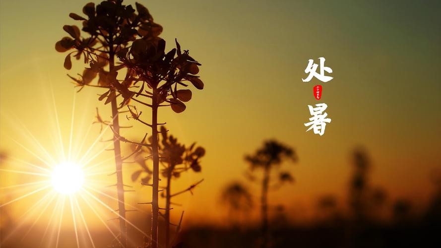 【经典推荐】“农民诗人“曹南强//处暑系列作品展（图3）