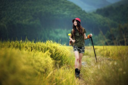 【新山东文学社】《秋日（外一首）》作者/春韵 主播/吴涵伟（图3）