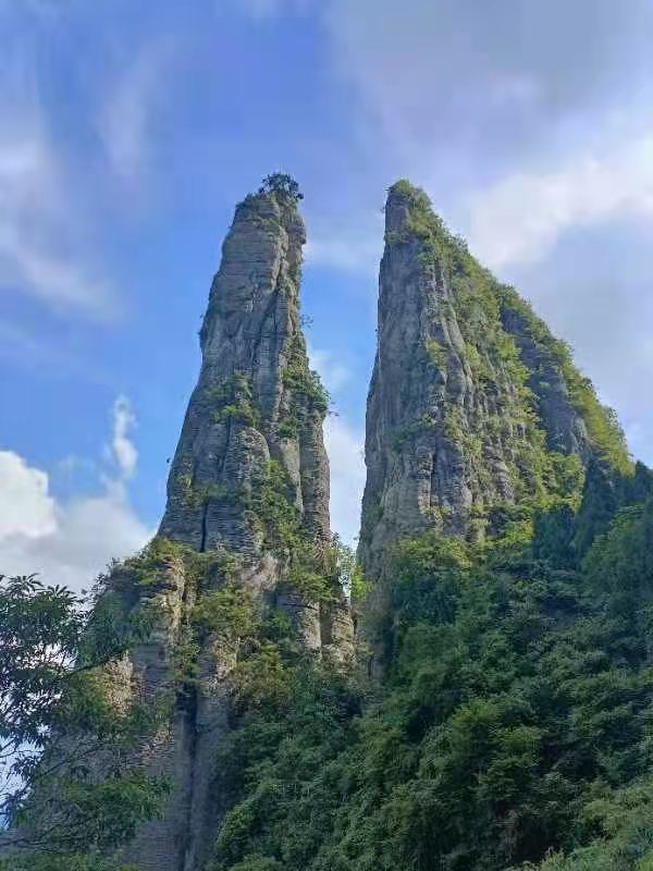 中华诗艺社九江分社·格律诗词精品鉴赏(合辑)第1517期(图16)