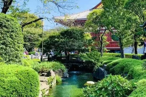 心尘文艺 第648期