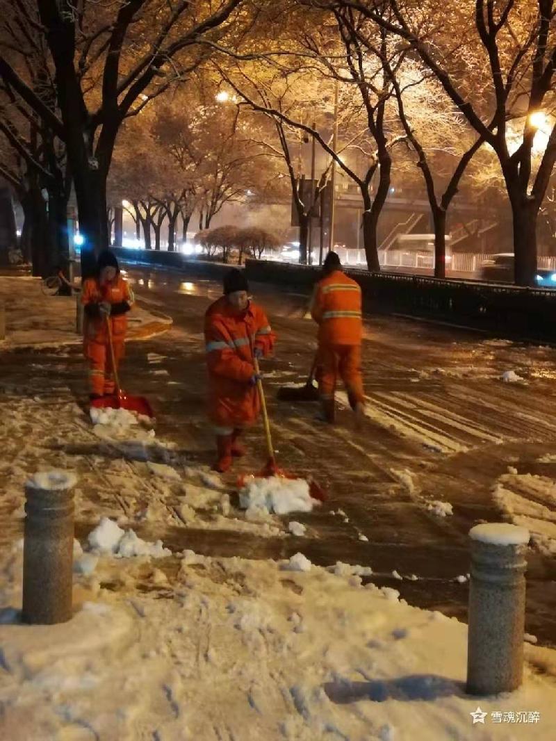 奔跑 文‖雪儿(北京)(图9)