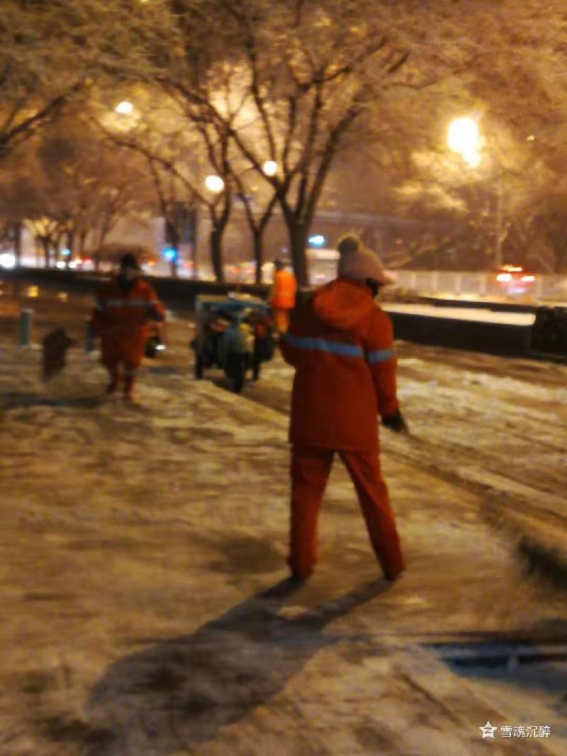 奔跑 文‖雪儿(北京)(图7)