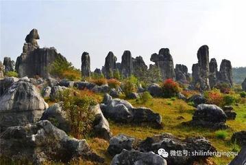 【华夏名篇】分享陈咏隆临屏步韵篁中庐诗兄《访山》请欣赏（图4）