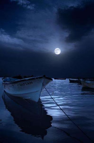 诗人林杨:今夜,提笔不写相思(图4)