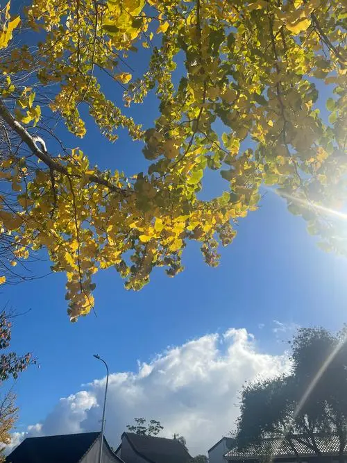 《忘了时间》作者:心语【主播:金牌主播:荷塘月色】[桃源♬ 馨声]（图8）