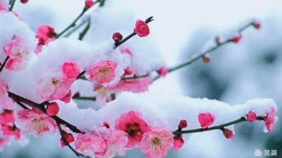 《名家专刊》【九江文学社:北京头条】陈凌先生(南京)佳作欣赏(图7)