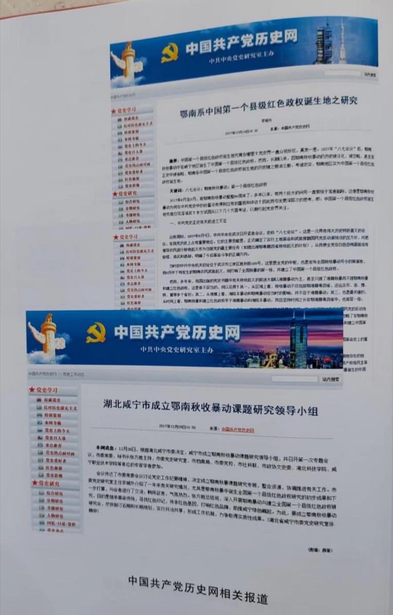 《鄂南秋收暴动颂》作者：李城外（图8）