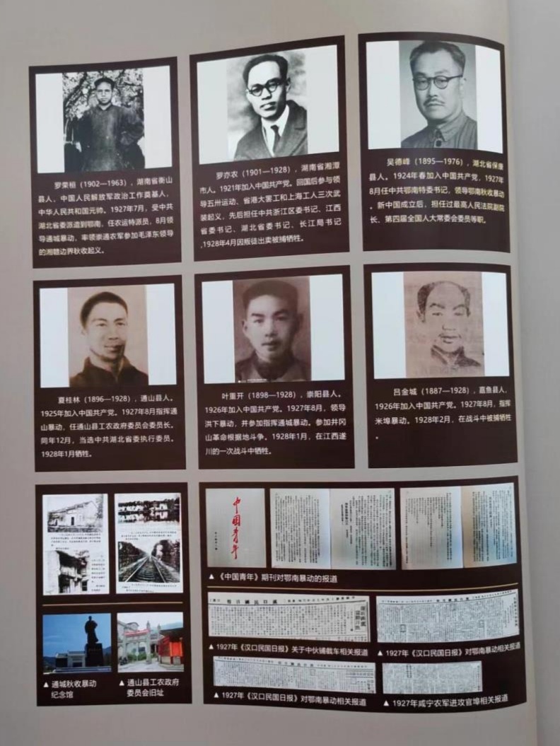 《鄂南秋收暴动颂》作者：李城外（图9）