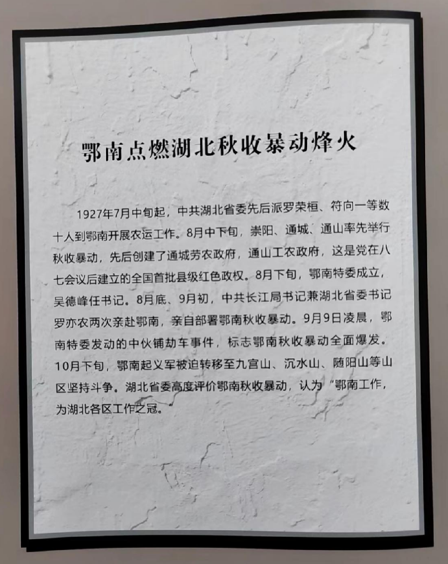 《鄂南秋收暴动颂》作者：李城外（图10）