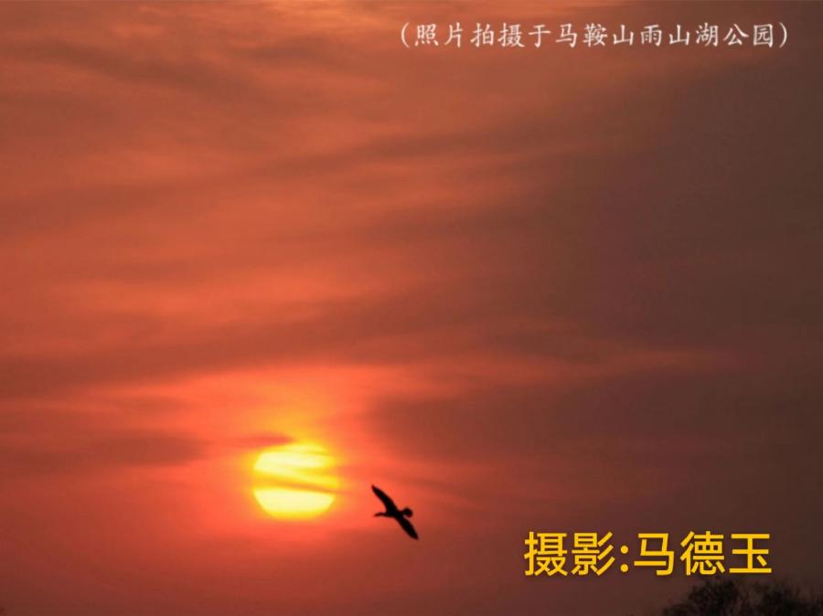 国风上海社第十一期诗刊—北京头条（图2）