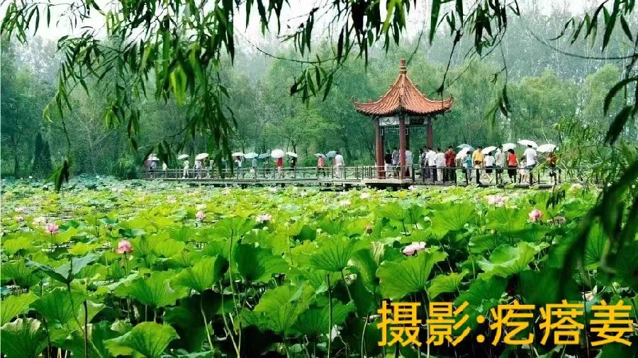 国风上海社第十一期诗刊—北京头条（图52）
