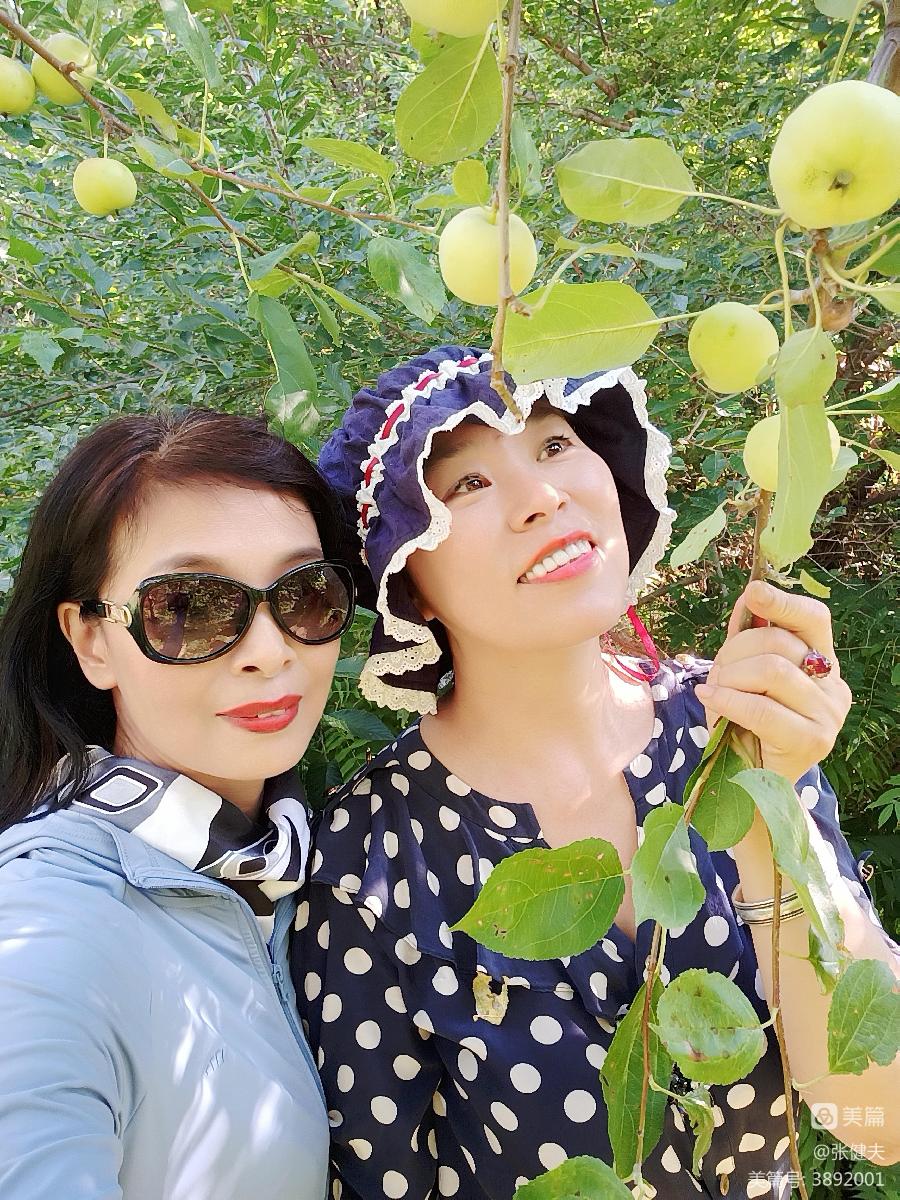 中华诗艺社黑龙江分社推荐/张健夫:兴游香炉山 感赋成美篇(图20)