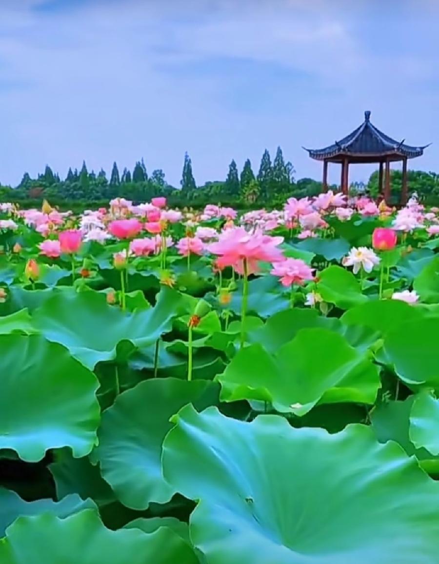 王浩天 原作/梁立锋