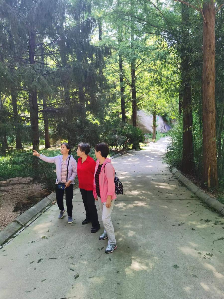 七绝《过鲁山林场有寄》沈克法（北京）（图2）