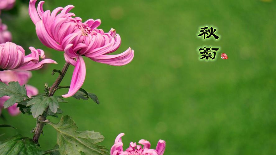 七律：秋色/文/开心（内蒙赤峰）（图2）