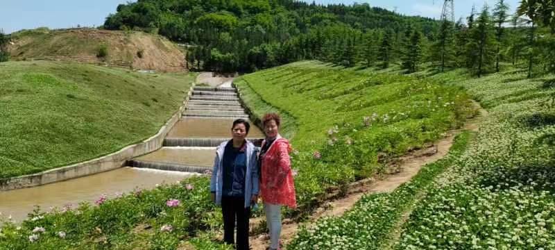 【雅诗总会】精美藏头诗欣赏——《多谋善断》(外八首)‖作者:白莲/腊梅(图7)
