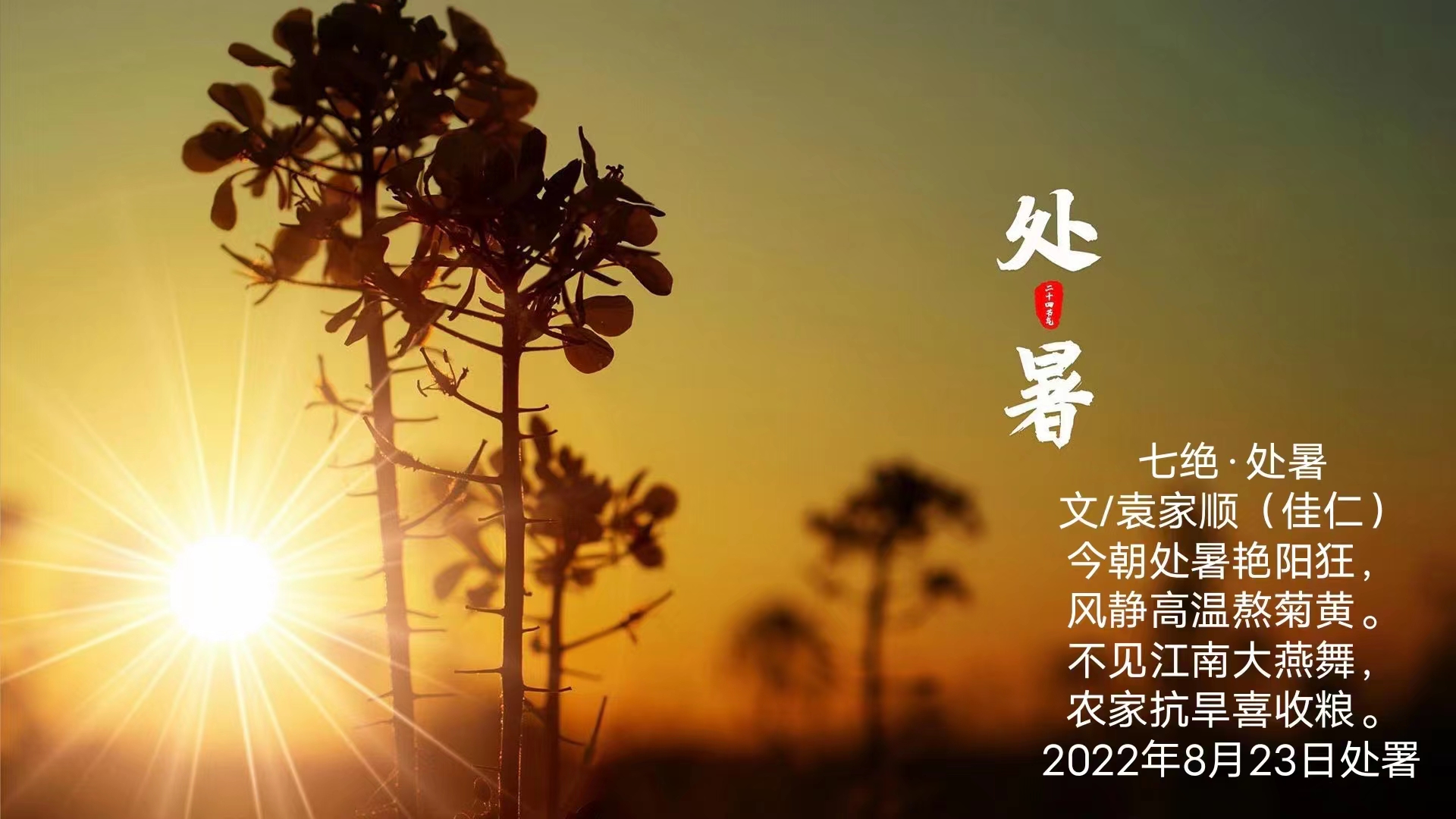 （七绝四首）文/袁家顺（佳仁上海）【冰心文化传媒】（图4）
