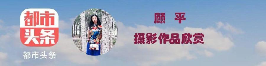 中华诗艺社黑龙江分社【摄影】/顾平:江边草原风光无限（图2）