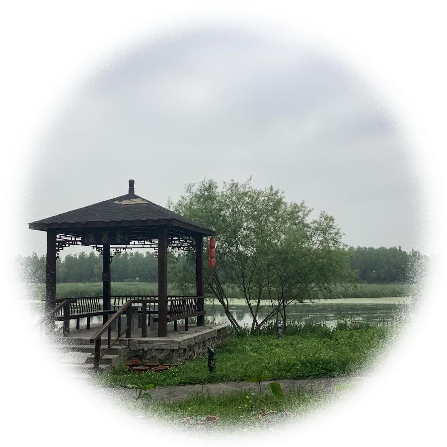 中华诗艺社黑龙江分社推荐/【诗词、摄影】李振汉:铁岭莲花湖湿地（图7）