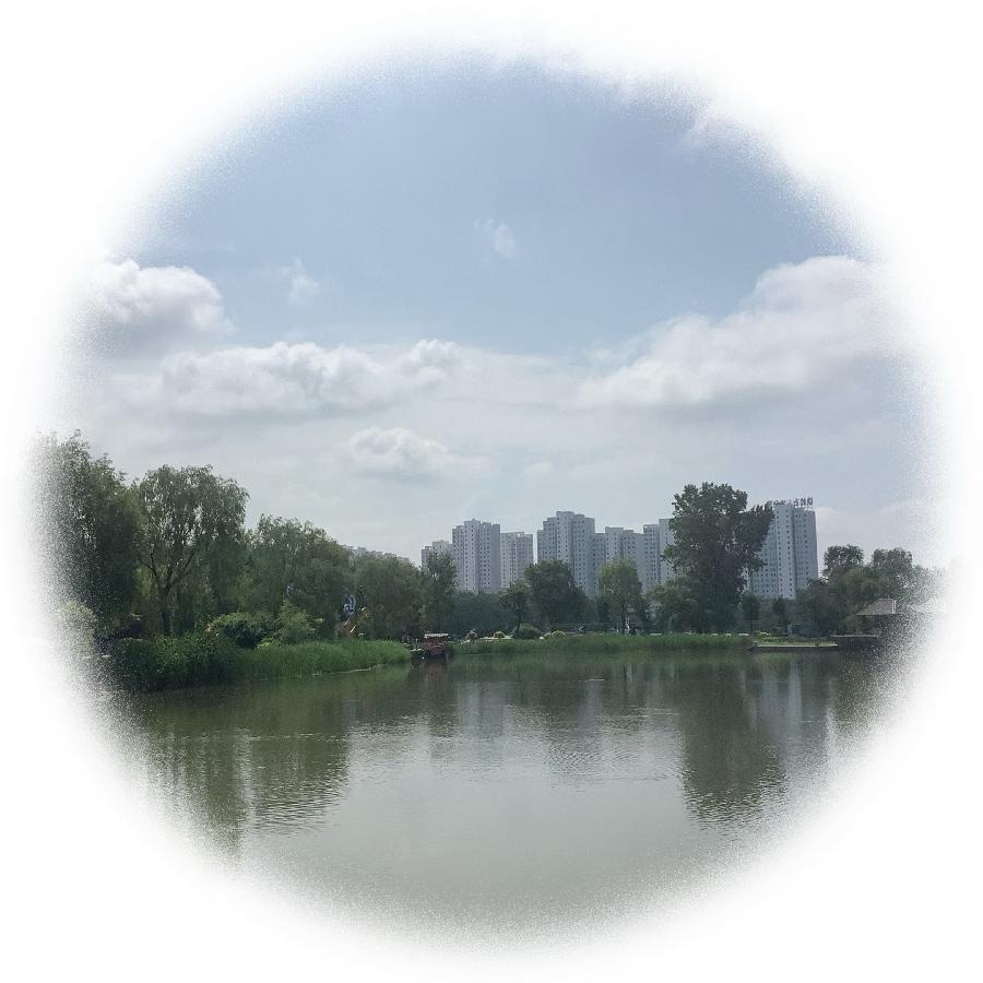 中华诗艺社黑龙江分社推荐/【诗词、摄影】李振汉:铁岭莲花湖湿地（图10）