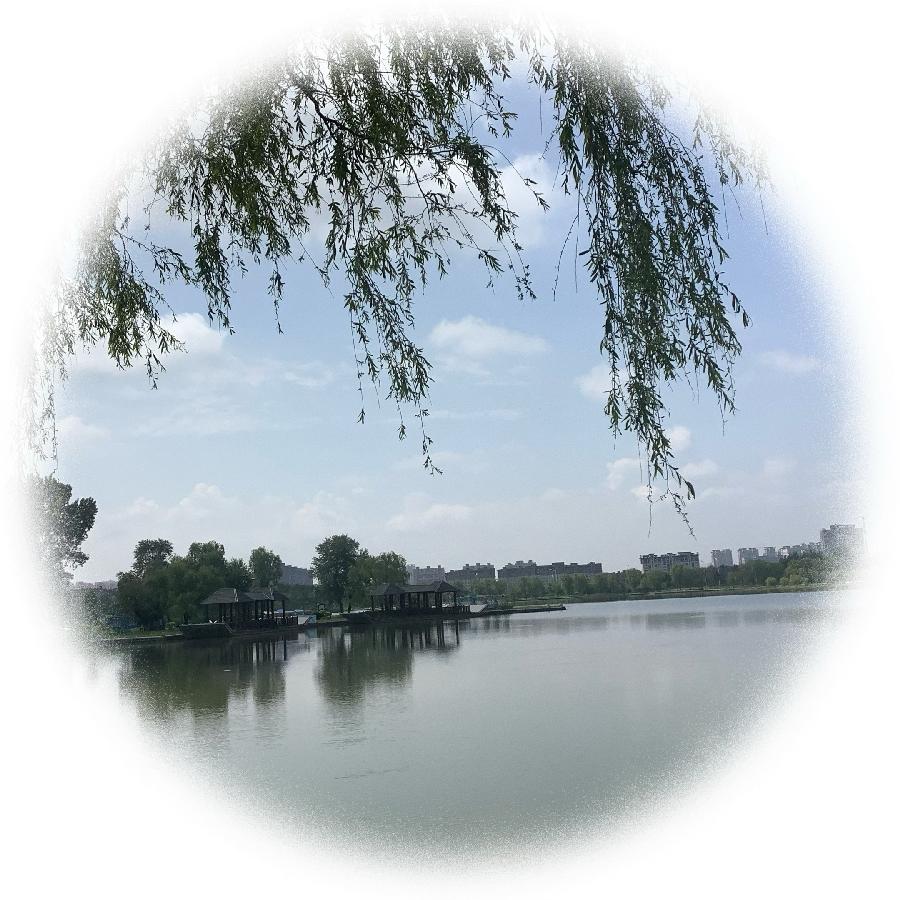 中华诗艺社黑龙江分社推荐/【诗词、摄影】李振汉:铁岭莲花湖湿地（图12）