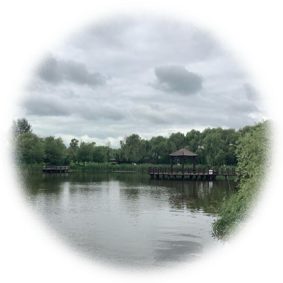 中华诗艺社黑龙江分社推荐/【诗词、摄影】李振汉:铁岭莲花湖湿地（图18）
