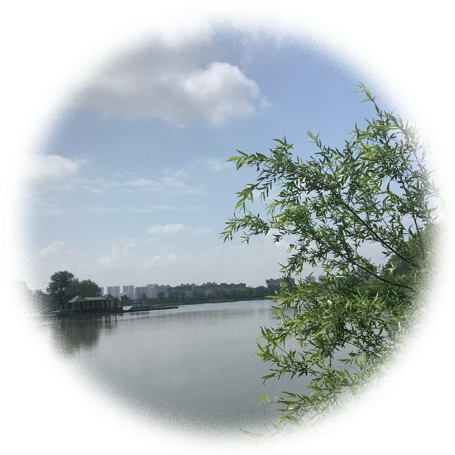 中华诗艺社黑龙江分社推荐/【诗词、摄影】李振汉:铁岭莲花湖湿地（图27）