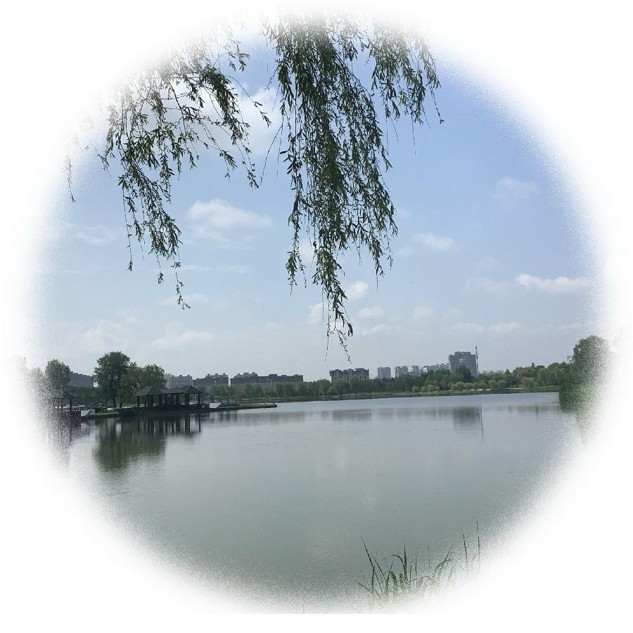 中华诗艺社黑龙江分社推荐/【诗词、摄影】李振汉:铁岭莲花湖湿地（图33）