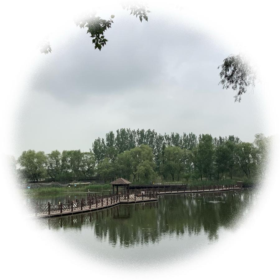 中华诗艺社黑龙江分社推荐/【诗词、摄影】李振汉:铁岭莲花湖湿地（图35）