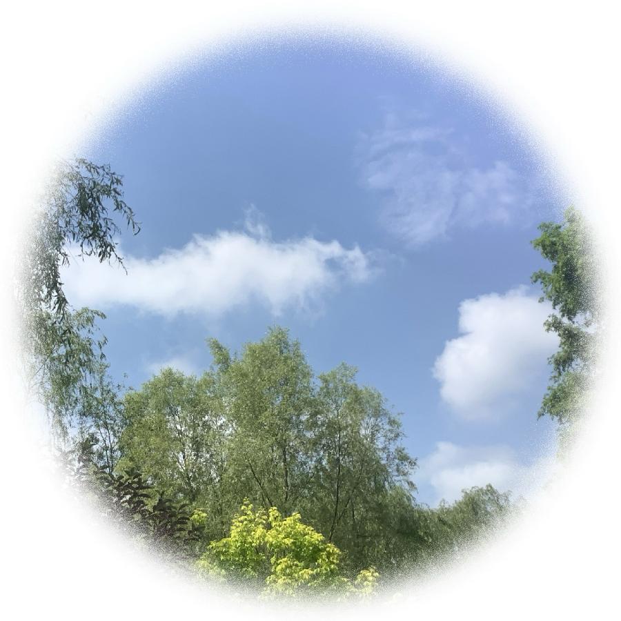 中华诗艺社黑龙江分社推荐/【诗词、摄影】李振汉:铁岭莲花湖湿地（图43）
