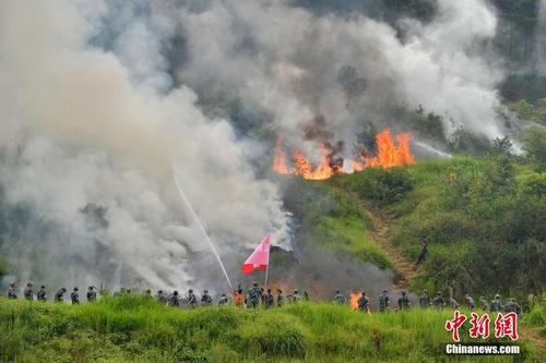 【华夏名篇】请您关注优秀诗人灯火阑珊（四川）《再唱重庆灭山火》（原创）（图5）