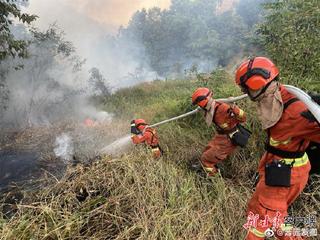 【华夏名篇】请您关注优秀诗人灯火阑珊（四川）《再唱重庆灭山火》（原创）（图7）