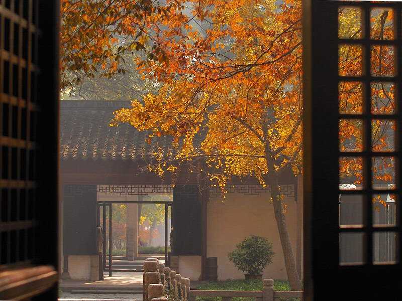 听 秋（图4）