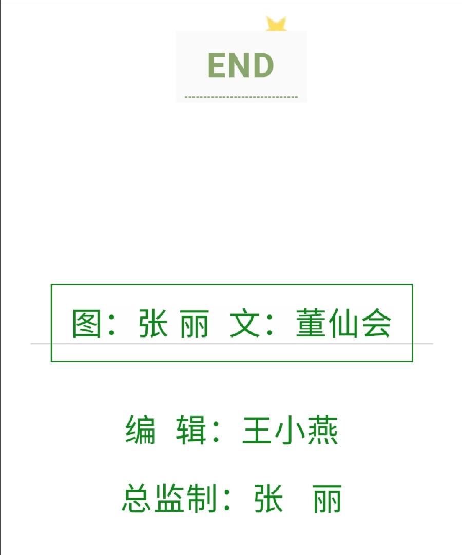 允美润泽 落墨生香 -8月27日 景洪市第三小学班主任培训会（图14）