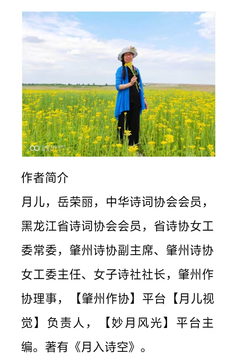 【雅诗总会】★同题诗《蒲公英》‖艺术家萧宽等二十三名艺术家、作家、诗人、主播同题抒怀诵咏(图32)