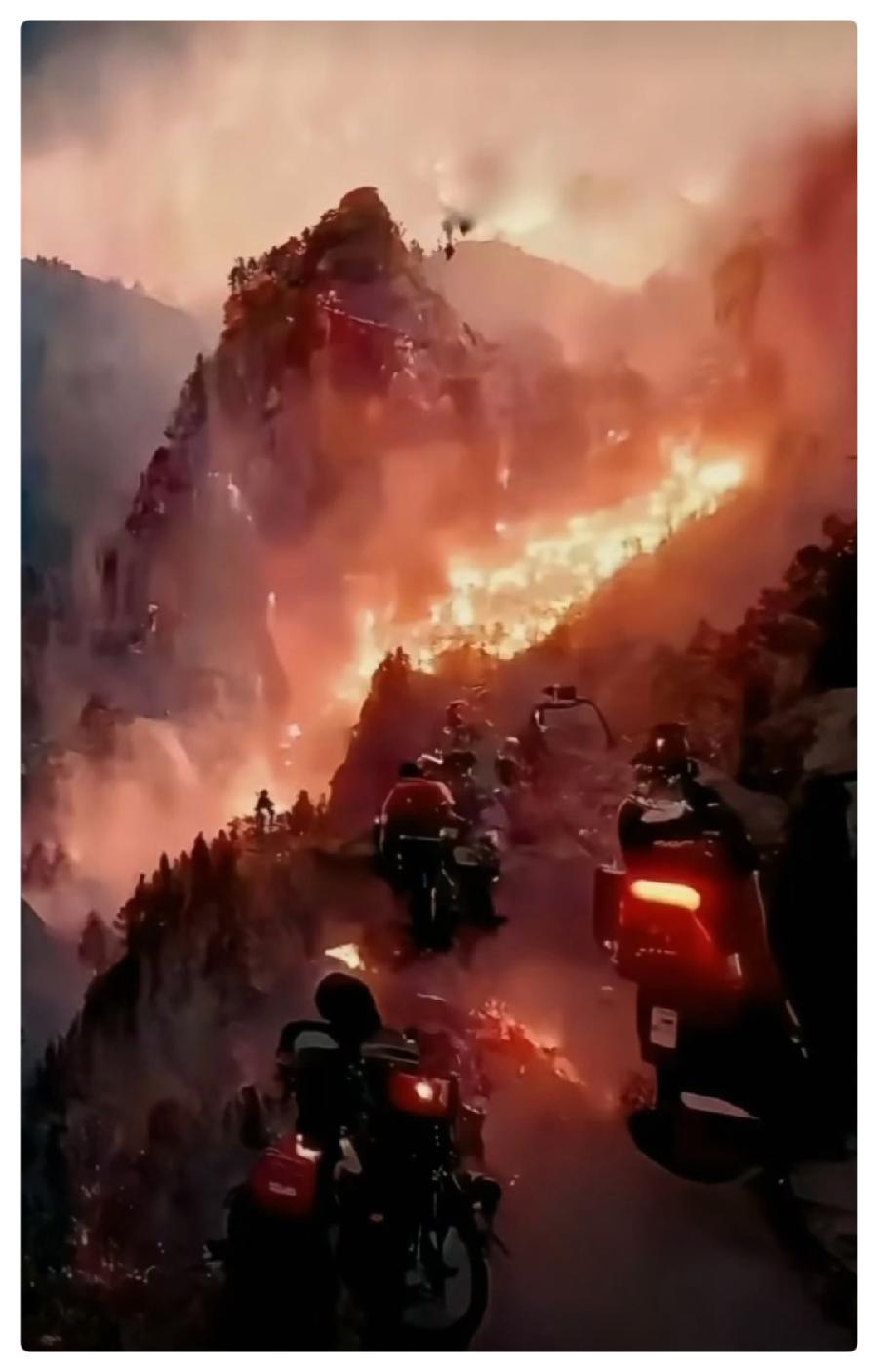 人民万岁—— 致敬重庆救火的英雄们ll作者:陈先义 朗诵:爱国(图8)