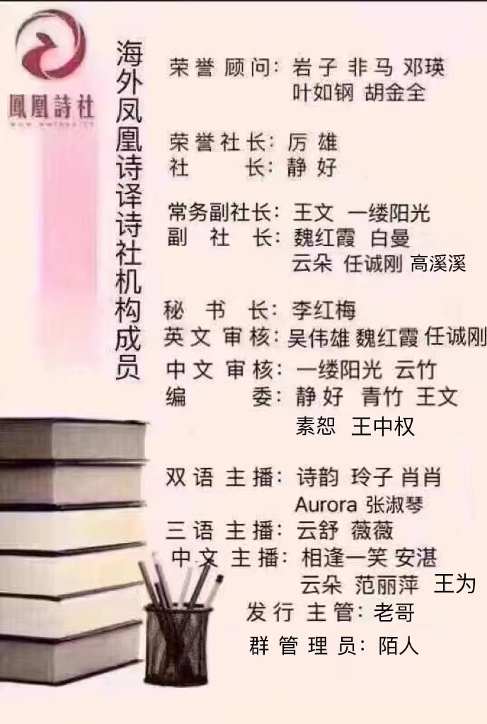 【海外诗译】精品双语朗诵《星海湾之夜》作者|潮汐、英译|中权、审译&朗诵|薇薇(图9)
