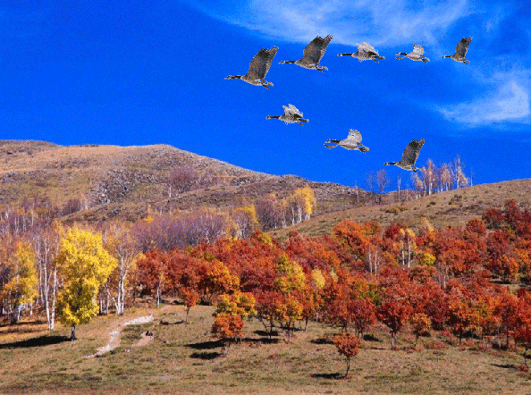 【华夏名篇】分享刘斌格律诗四首请欣赏（图6）
