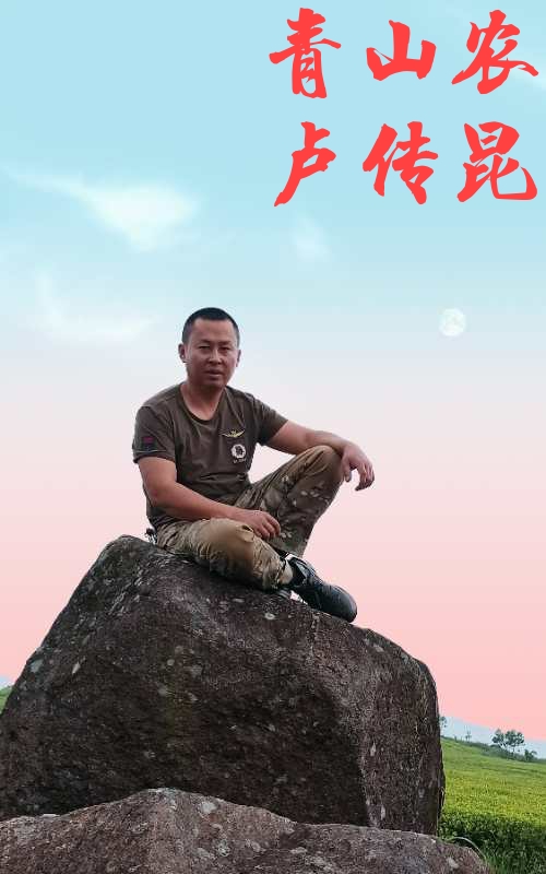 心尘文艺 第653期(图2)