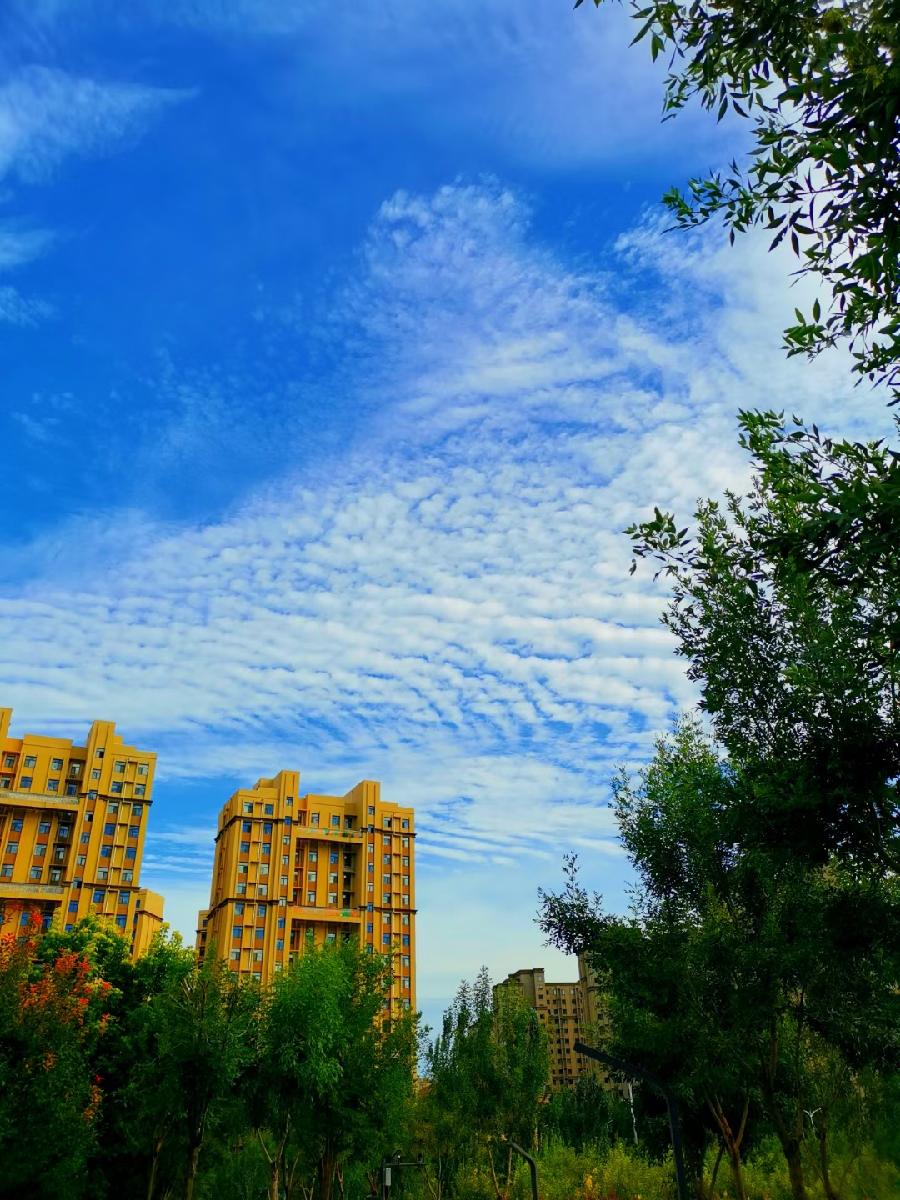 春意阑珊处【邓中华诗词集】十三（图14）