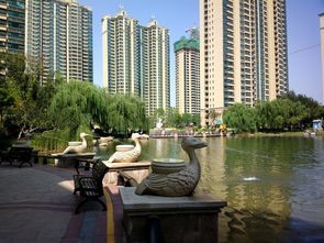 《致敬，老兵》作者:王桂安【主播:金牌主播:青苗】【桃源国际诗歌集团】[桃源♬ 馨声]（图10）