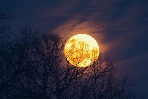 《月夜》作者:戴墨镜的阿Q【主播:金牌主播:玫瑰心】【桃源国际诗歌集团】[桃源♬ 馨声]（图7）