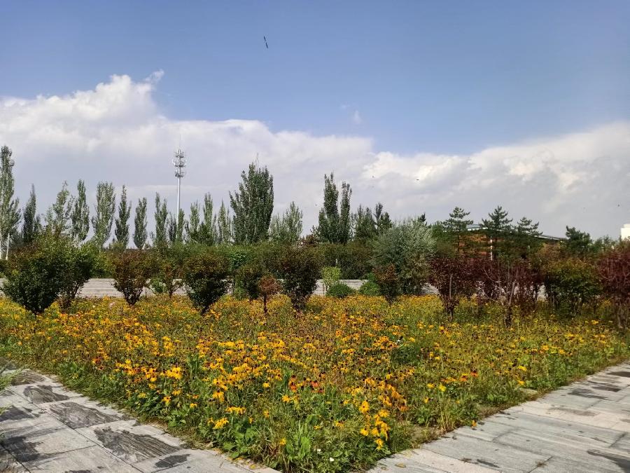 雨后即景（图4）