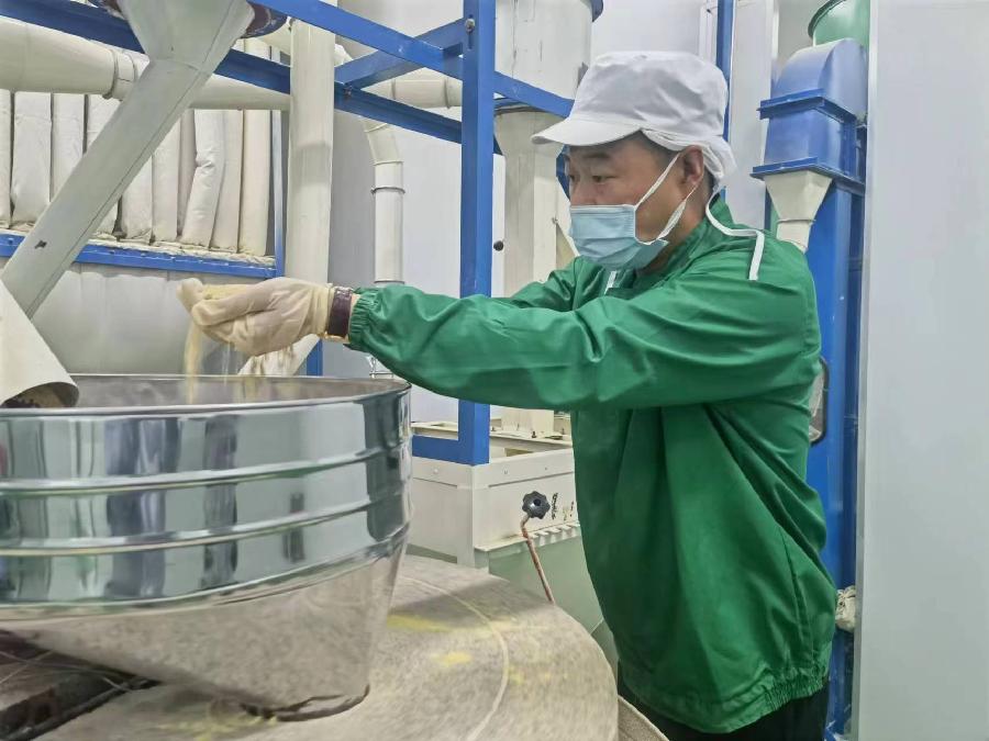 榜样力量丨河北石家庄井陉高伟栋：怀揣梦想创新业 产业带动促振兴｜石家庄学习平台｜学习强国