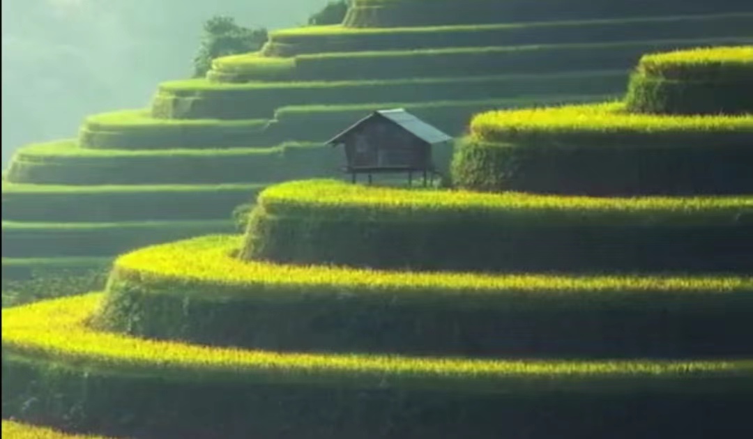 秋来（外二首）文／山乡（湖北）【冰心文化传媒】（图5）