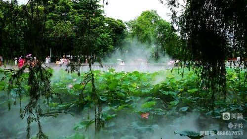 风雅诗社·二十九期·自由诗（图11）
