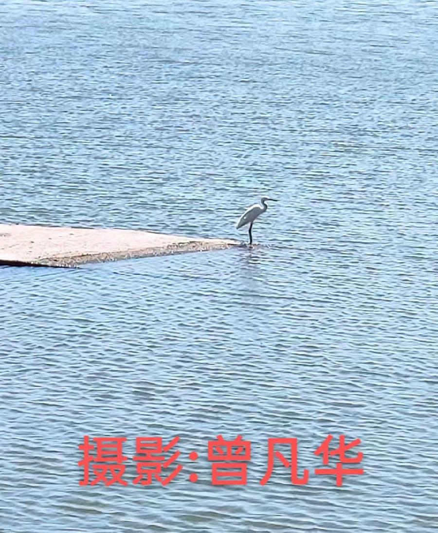 国风上海社 第《十二期诗刊》—北京头条（图4）
