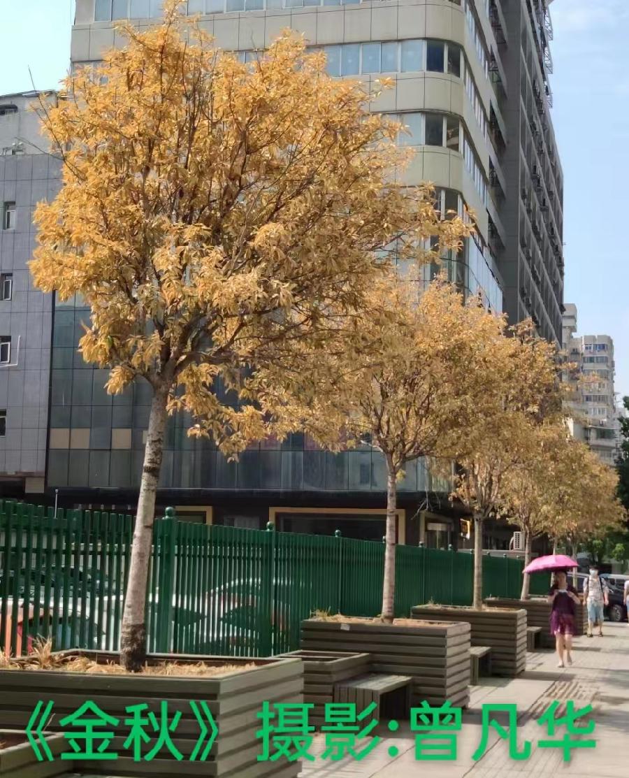 国风上海社 第《十二期诗刊》—北京头条（图34）
