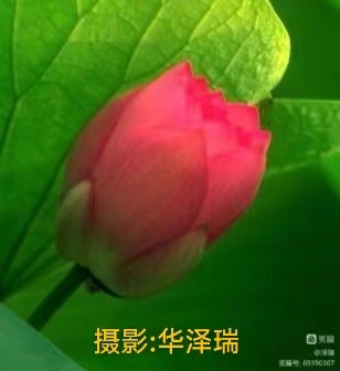 国风上海社 第《十二期诗刊》—北京头条（图53）